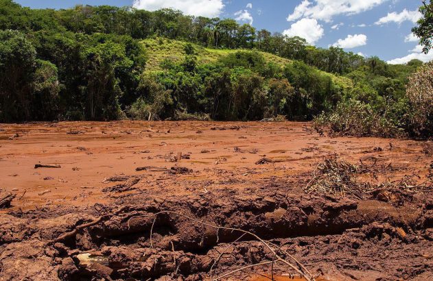 Massa de lama densa e avermelhada cobrindo o solo com detritos, em área de mata sob céu azul.