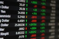 bolsa