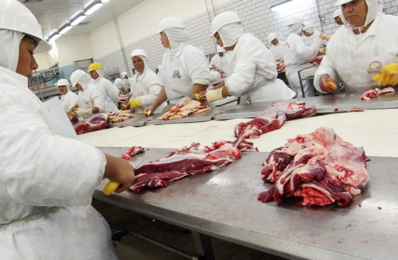 Frigorífico e pessoas cortando carne