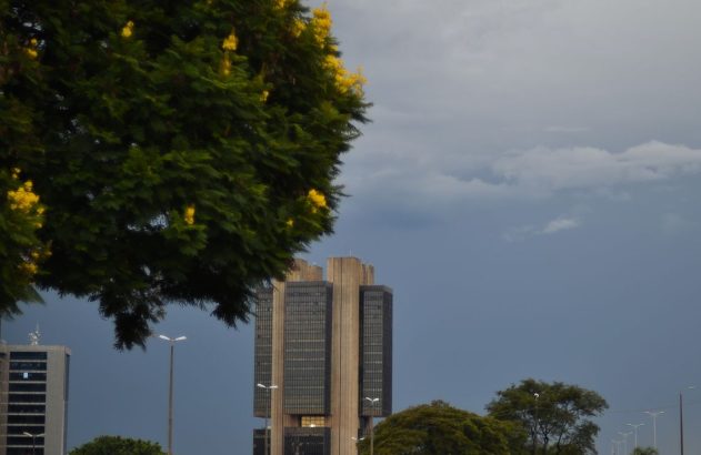 Edifício moderno sob céu escuro, com árvore de flores amarelas em primeiro plano.