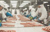 Funcionários de processamento de alimentos manuseando carne em linha de produção de fábrica.