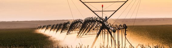 Linha de pessoas caminhando em campo aberto sob torre de energia triangular ao entardecer.