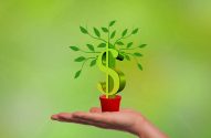 investimento