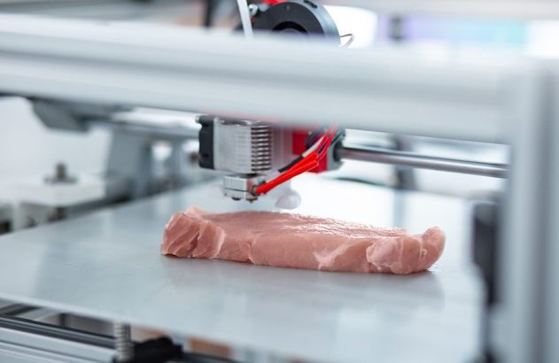 Impressora 3D trabalhando em um pedaço de carne crua.