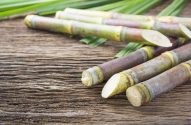 Cana-de-açúcar em caules inteiros e cortados sobre madeira rústica. Folhas verdes ao fundo.