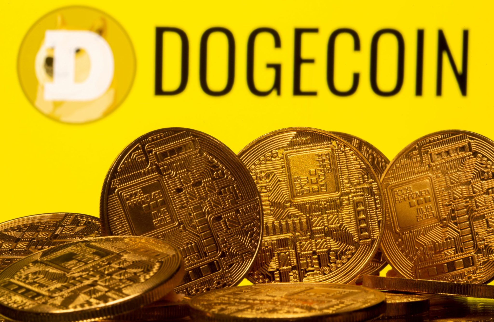 Ficou Sabendo? Novela do dogecoin, lucro dos Correios e anticorpos contra covid