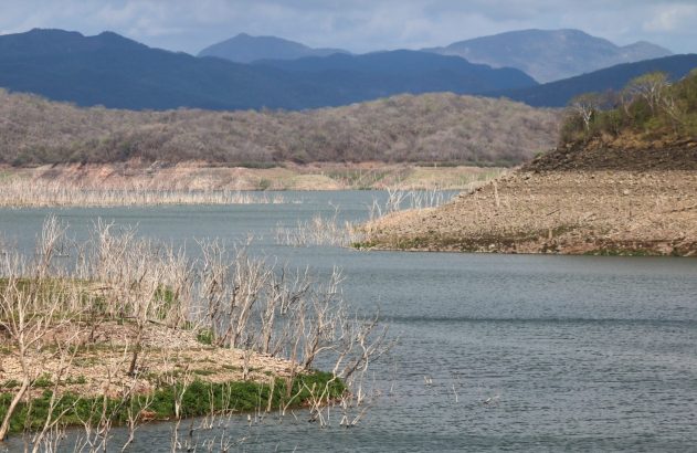 Lago com nível de água baixo, com árvores secas emergindo e solo exposto. Montanhas ao fundo.
