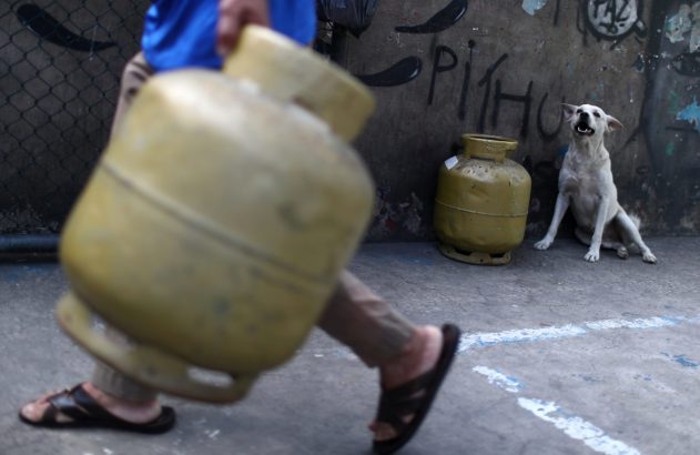 Pessoa carregando botijão de gás. Cachorro branco sentado com boca aberta ao lado de outro botijão.