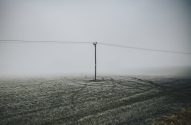 Campo geado e enevoado com poste elétrico central e marcas de pneus.
