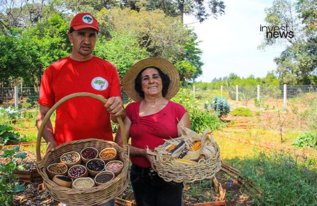 Casal de agricultores exibe cestas com grãos e milho em horta.