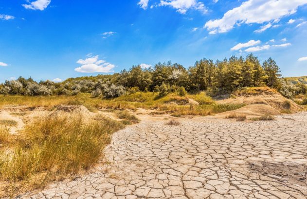 Paisagem com solo rachado em primeiro plano, grama seca, morros e árvores ao fundo sob céu azul com nuvens.