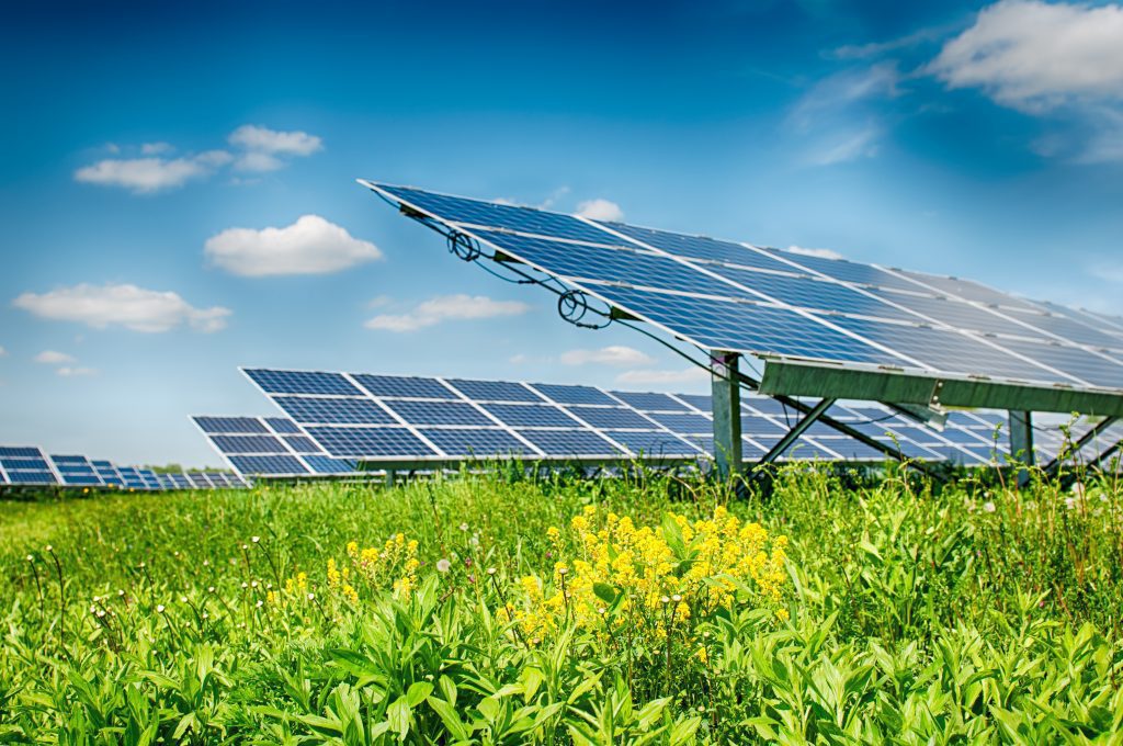 Crise hídrica: painéis em planta de energia solar.