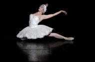 Bailarina em traje de cisne branco em pose dramática no palco escuro.