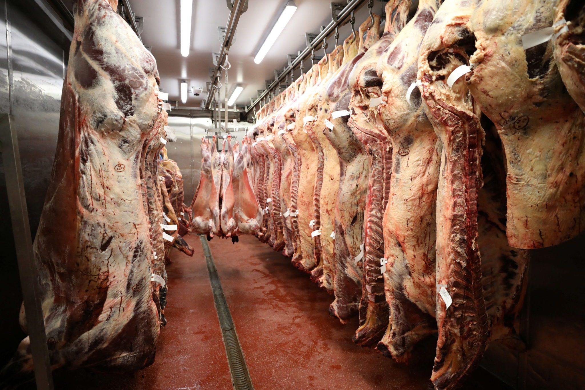 China retoma importação de carne bovina brasileira