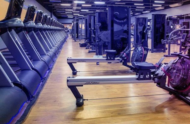 SelfIt: caso de empresa média com taxas de crescimento de 30% a 40% ao ano
