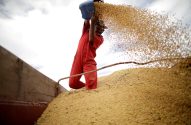 IGP-M desacelera alta a 1,41% em abril por arrefecimento de commodities agrícolas