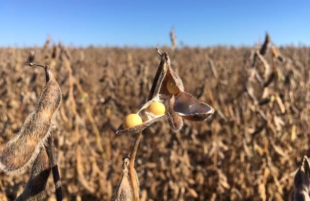 IGP-DI desacelera alta em abril com alívio de combustíveis e commodities
