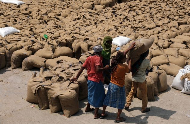 Homens movimentam sacos de juta em um grande pátio com pilhas de sacos sob o sol.