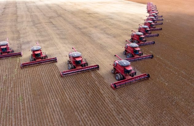 Vista aérea de várias colheitadeiras vermelhas alinhadas, trabalhando na colheita de um campo agrícola extenso.