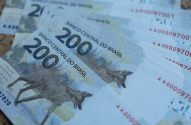 Notas de 200 reais do Banco Central do Brasil em pilha, mostrando o lobo-guará em destaque.