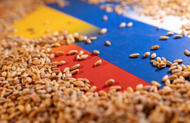 Grãos amontoados e espalhados sobre superfície colorida: amarelo, azul, vermelho, branco.