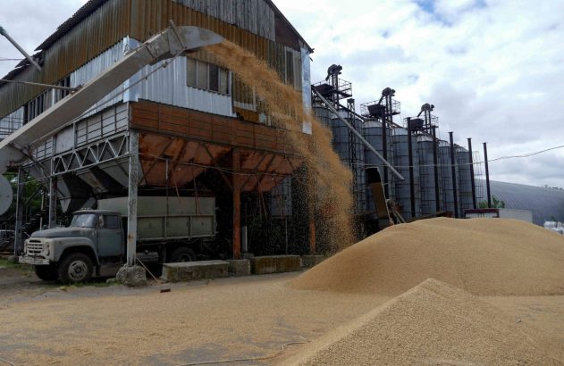 Exportação de grãos da Ucrânia