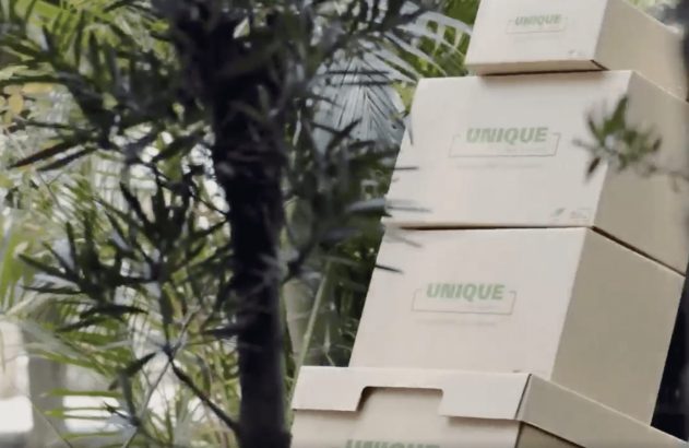 caixa embalagem da Klabin