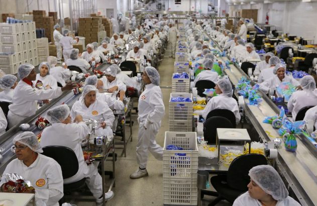 Linha de produção: mulheres uniformizadas embalam ovos de Páscoa.