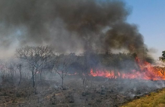 Grande incêndio florestal com densa fumaça escura. Chamas alastram-se pela vegetação seca e árvores.