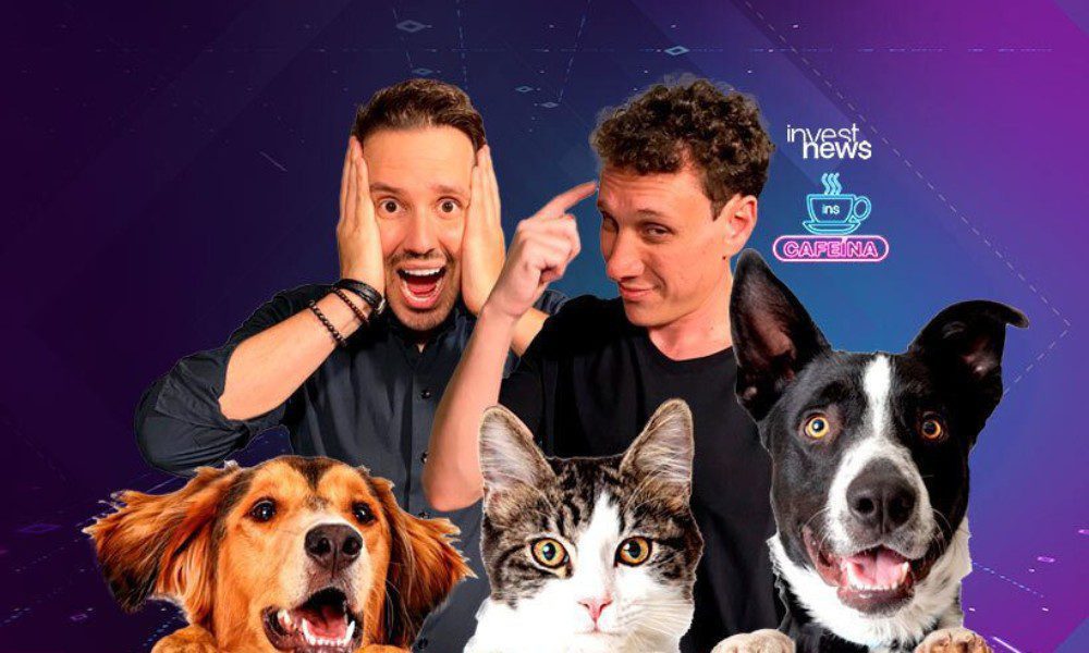 Gato ou cachorro: qual o custo mensal de um animal de estimação?