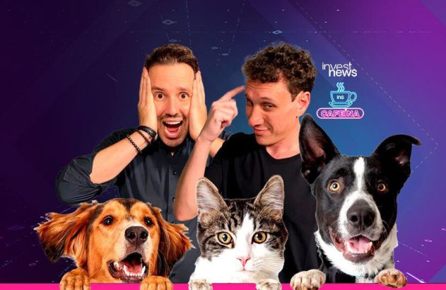 Gato ou cachorro: o que dá mais despesa?