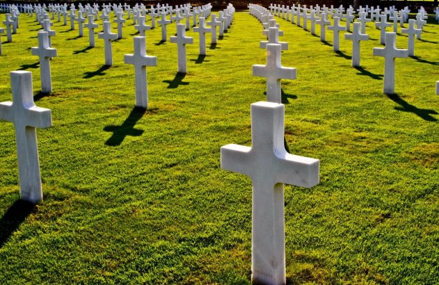 Inúmeras cruzes brancas em fileiras no gramado verde de um cemitério, com sombras nítidas.