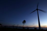 Cena costeira ao anoitecer com turbina eólica em movimento, coqueiro e cidade com luzes ao fundo.