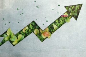 Seta verde, preenchida com folhagem, indicando crescimento em fundo cinza com símbolos de porcentagem e mais.