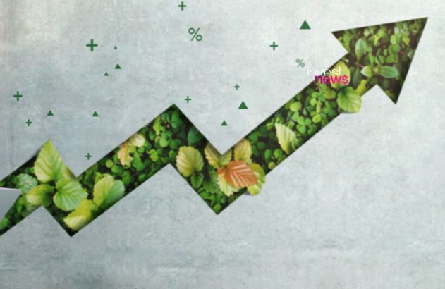 Seta verde, preenchida com folhagem, indicando crescimento em fundo cinza com símbolos de porcentagem e mais.