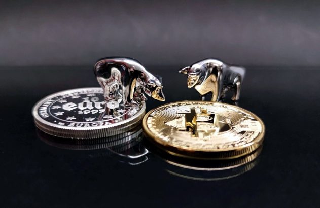 Bear market x bull market (Foto: Wilfried Pohnke / Pixabay)