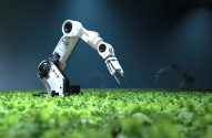 Braço robótico branco com pinças sobre uma plantação verde. Outro robô desfocado ao fundo.