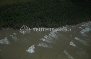 Vista aérea de uma densa floresta verde escura margeando um corpo de água turva com múltiplas ondas brancas.