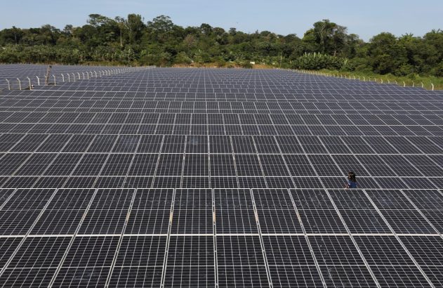 Pessoa caminha em vasto campo de painéis solares. Ao fundo, vegetação densa e céu azul claro.