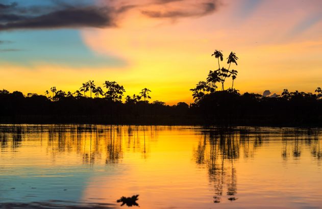 Pôr do sol visto da floresta amazônica