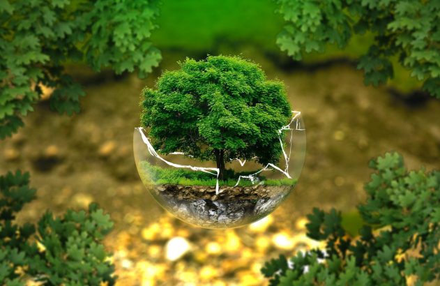 Árvore verde em globo de vidro quebrado, flutuando, cercado por folhagem borrada.