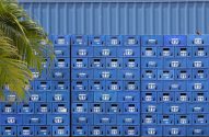 Longa pilha de engradados azuis da Ambev com garrafas, contra parede azul de contêiner. Folhas de palmeira à esquerda.