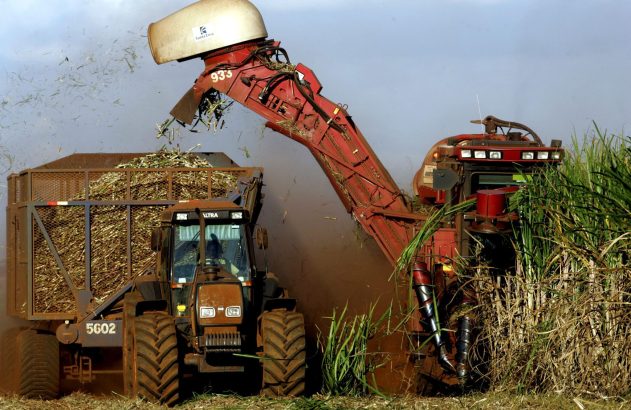 Colheita de cana-de-açúcar. Colhedora vermelha transfere cana para reboque puxado por trator em campo.