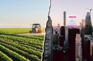 Contraste: Trator no campo cultivado e arranha-céus de cidade. Logos 'invest news' e 'Cafeína'.