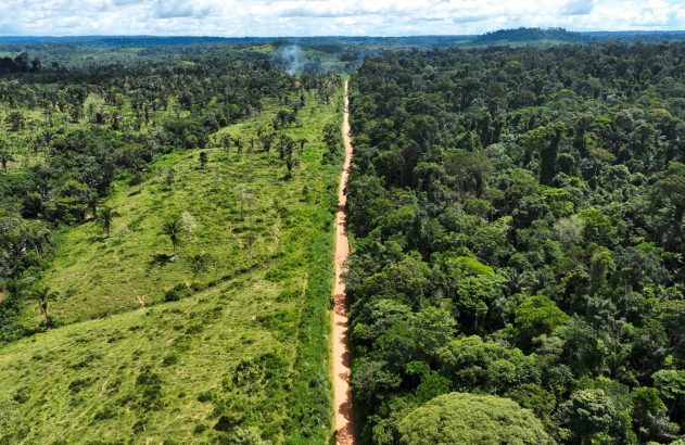 Estrada corta paisagem: floresta à direita e área desmatada com fumaça à esquerda.