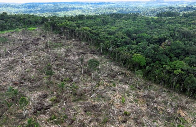 Vista aérea de área desmatada em Uruará, Pará