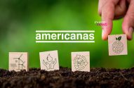 Americanas e eSG