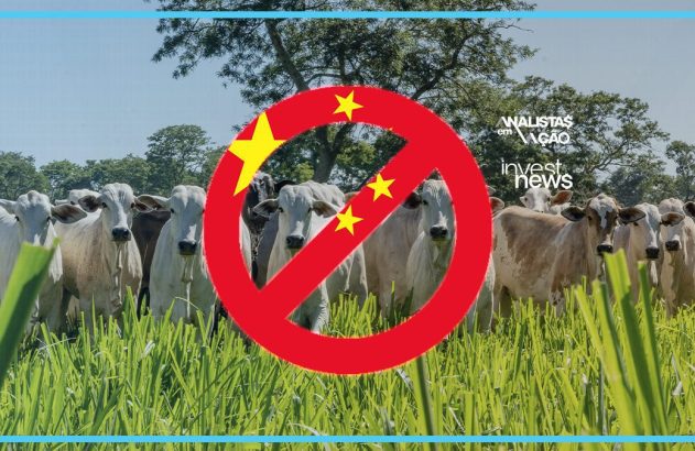 Círculo de proibição vermelho com estrelas da China sobre rebanho de gado em pasto verde.