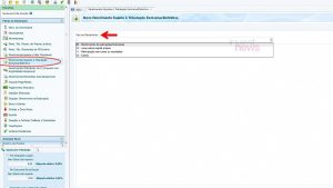Software de declaração de imposto: tela de rendimento exclusivo. Seta aponta 'Tipo de Rendimento' e opções.