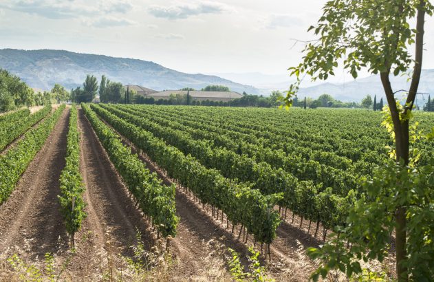 Vinícolas